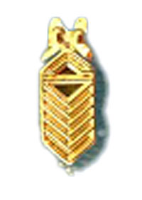 PIN 7136
