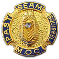 PIN 7027 Past Seam Squirrel with Diamond