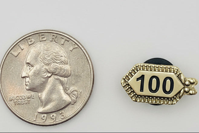 Pin, 100 Year Collar Bug #7100