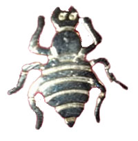 PIN 7030 LARGE Gold Cootie Bug, clutch back
