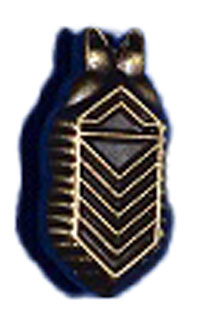 PIN 7137 Bronze Cootie Collar Bug