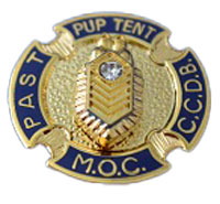 PIN 7504D Past CCDB Pin, Plated W/ Diamond